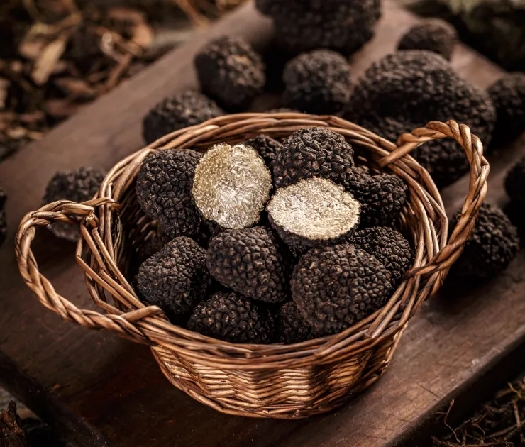 Trufas, torres e sorvete