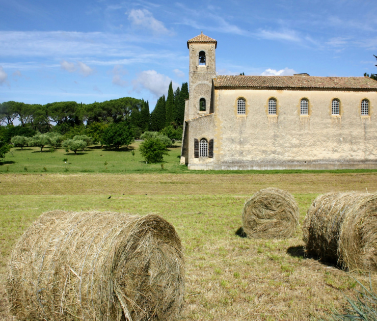 Vinhas e Lourmarin